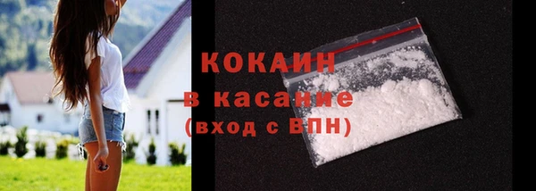 индика Арсеньев