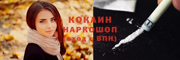 индика Арсеньев