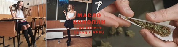 индика Арсеньев