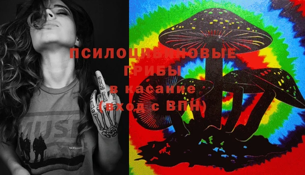 индика Арсеньев