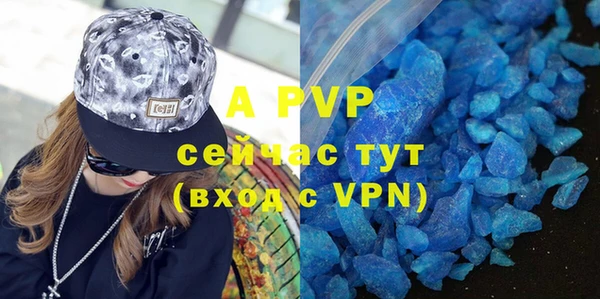 индика Арсеньев