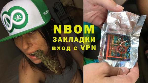 крисы Богородицк