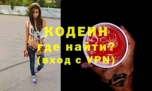 индика Арсеньев