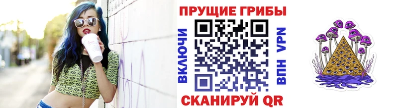 blacksprut ссылка  Артём  Псилоцибиновые грибы Cubensis 